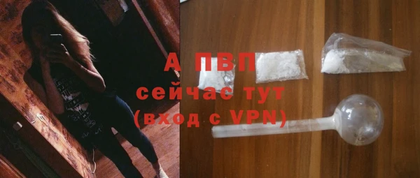 спиды Аркадак