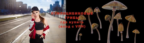 спиды Аркадак