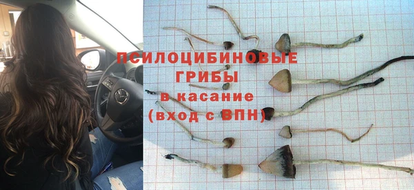 спиды Аркадак