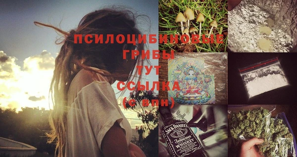 тгк Арсеньев