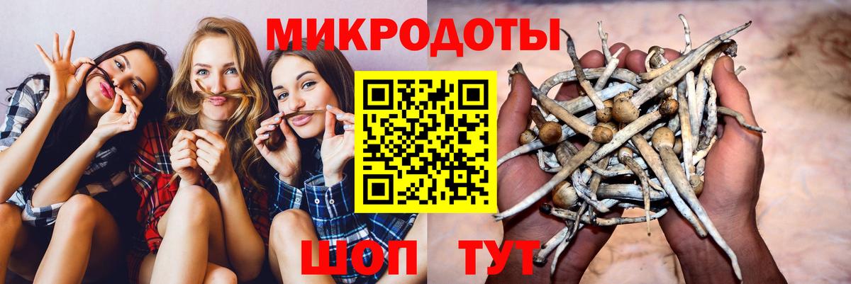 Галлюциногенные грибы MAGIC MUSHROOMS Кинель
