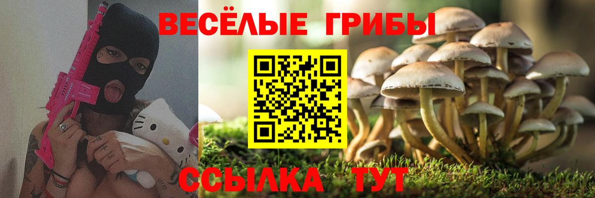 A-PVP Кинель